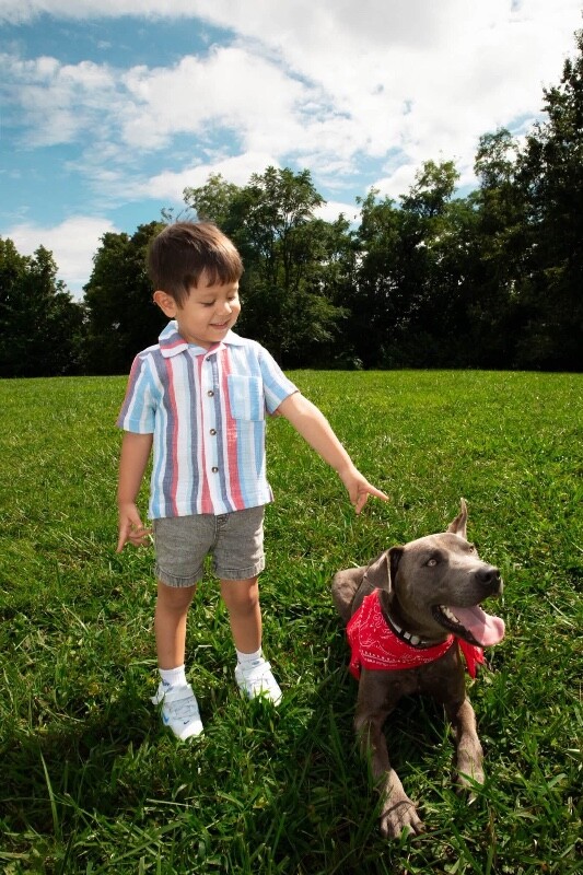 View Pawpatrol the Dog Photo #11