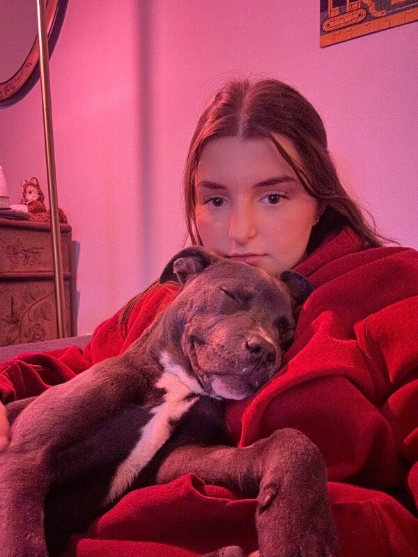 View Vanessa the Dog Photo #7
