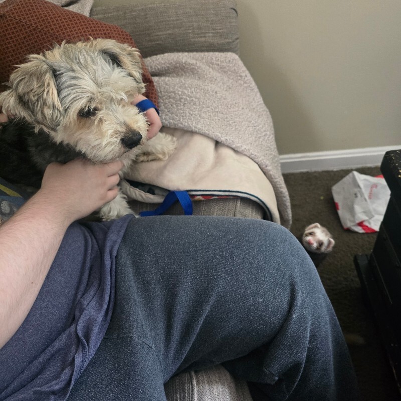 View Tupac the Dog Photo #6