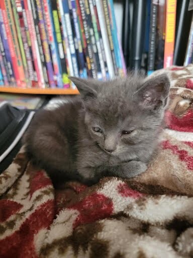 Sweetie