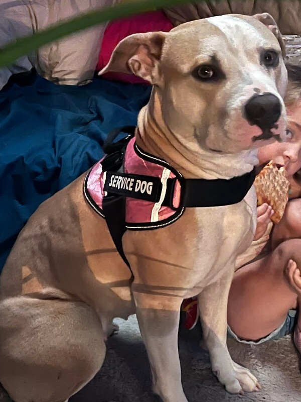 Coco