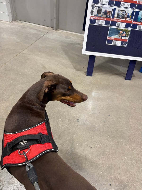 Gus