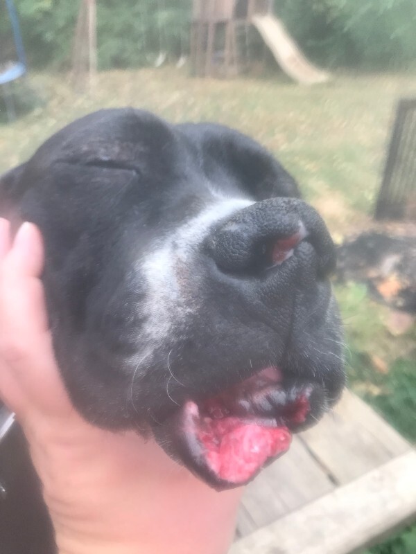 Luna