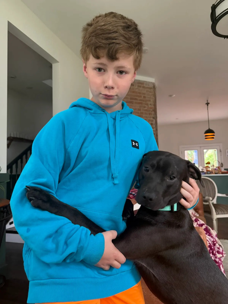 View Stitch the Dog Photo #3