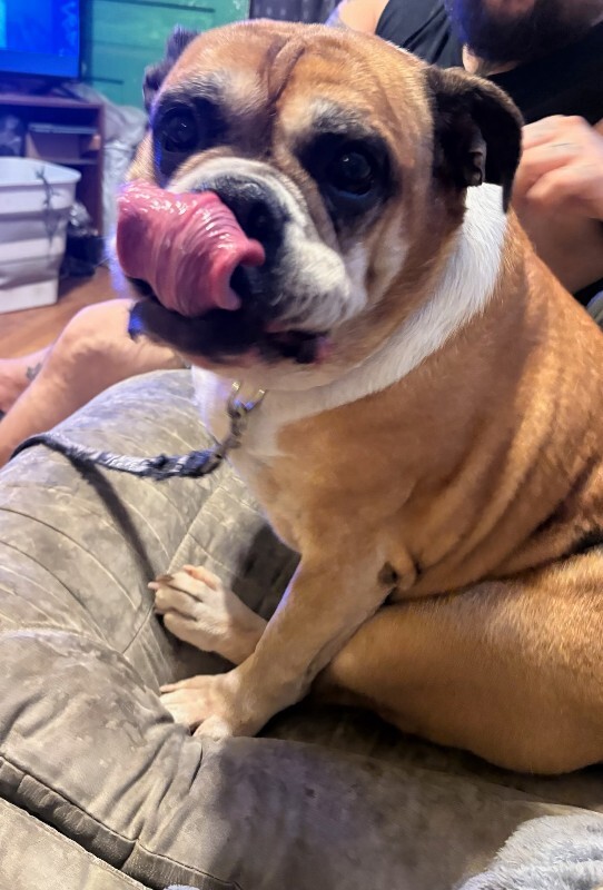 Chunk
