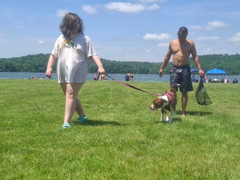 View Grace the Dog Photo #2