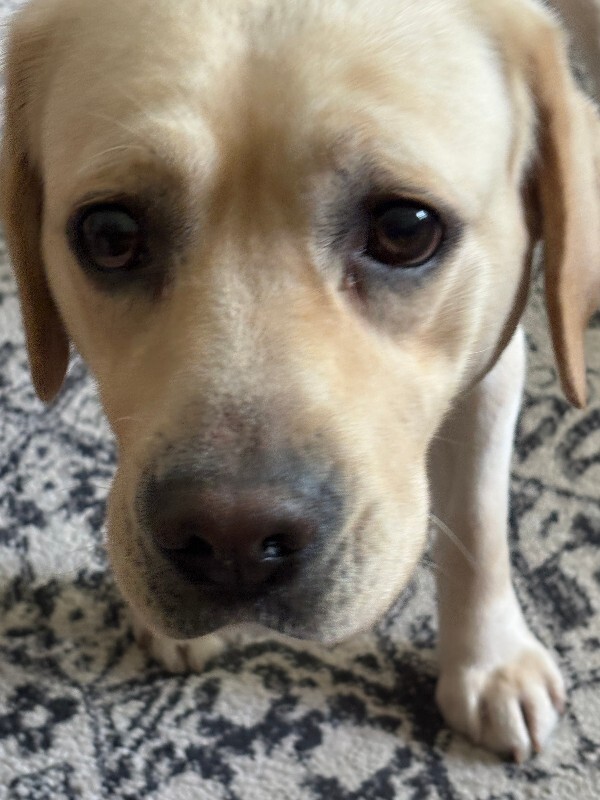 Nelly