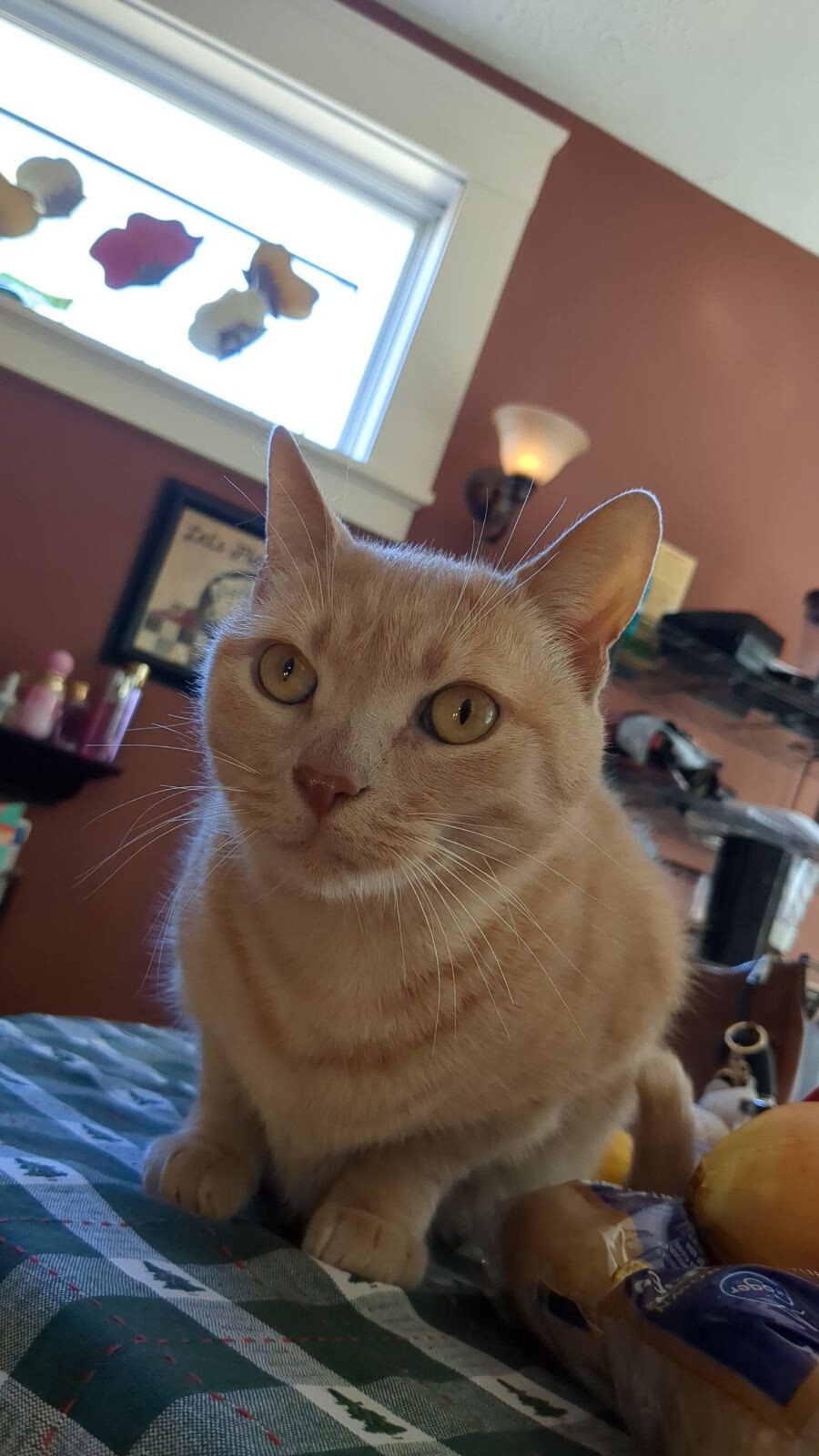Ajax