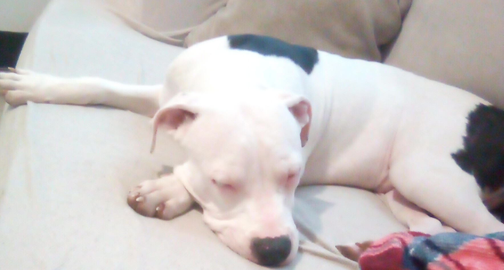 Stank