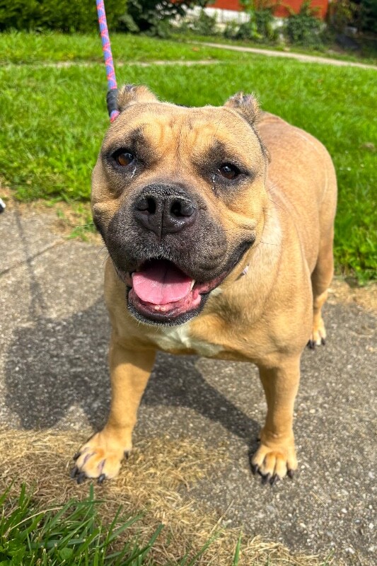 Lila