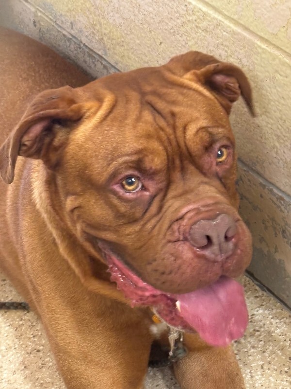 Tyson