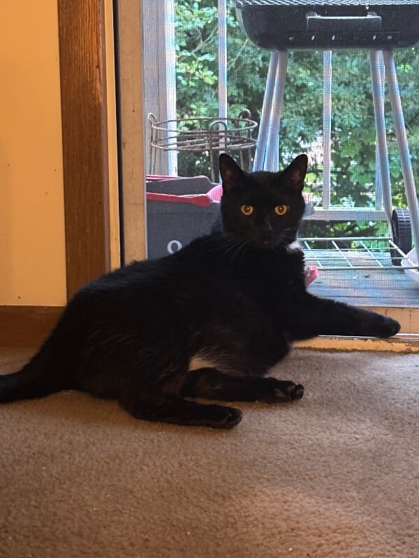 Beau
