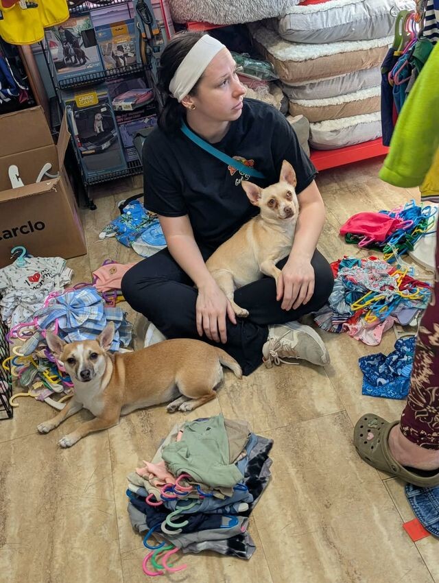 Help Rehome This Dog Janet