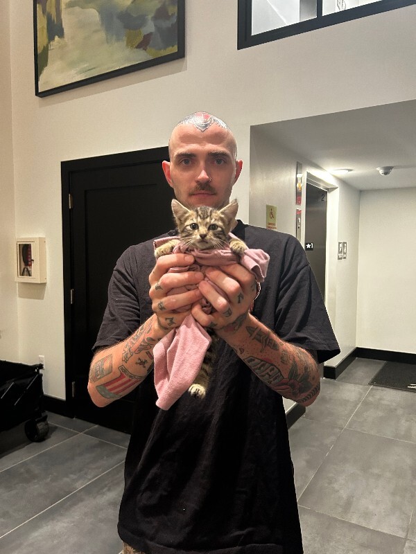 Help Rehome This Cat Unknown