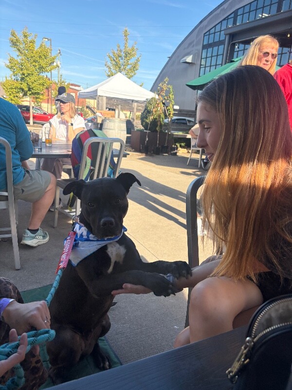 View Zora the Dog Photo #18