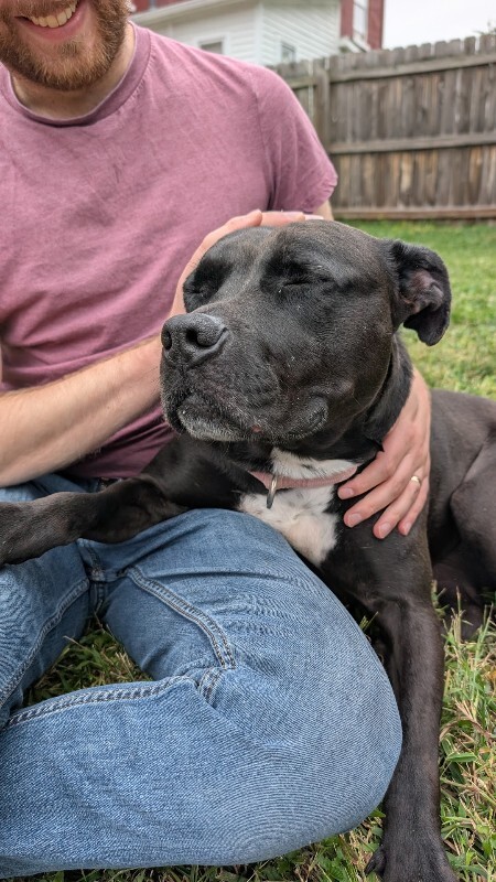 View Zora the Dog Photo #5