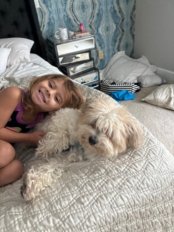 Help Rehome This Dog Unknown