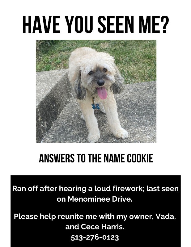 Cookie - Dog