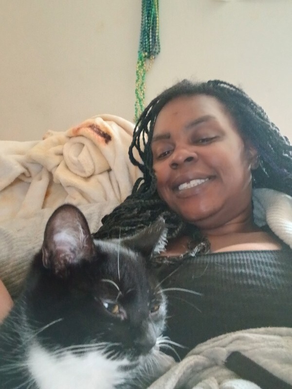 Have You Seen Ruby? Ruby - Cat