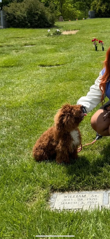 View Khloe Chanel Bell the Dog Photo #3