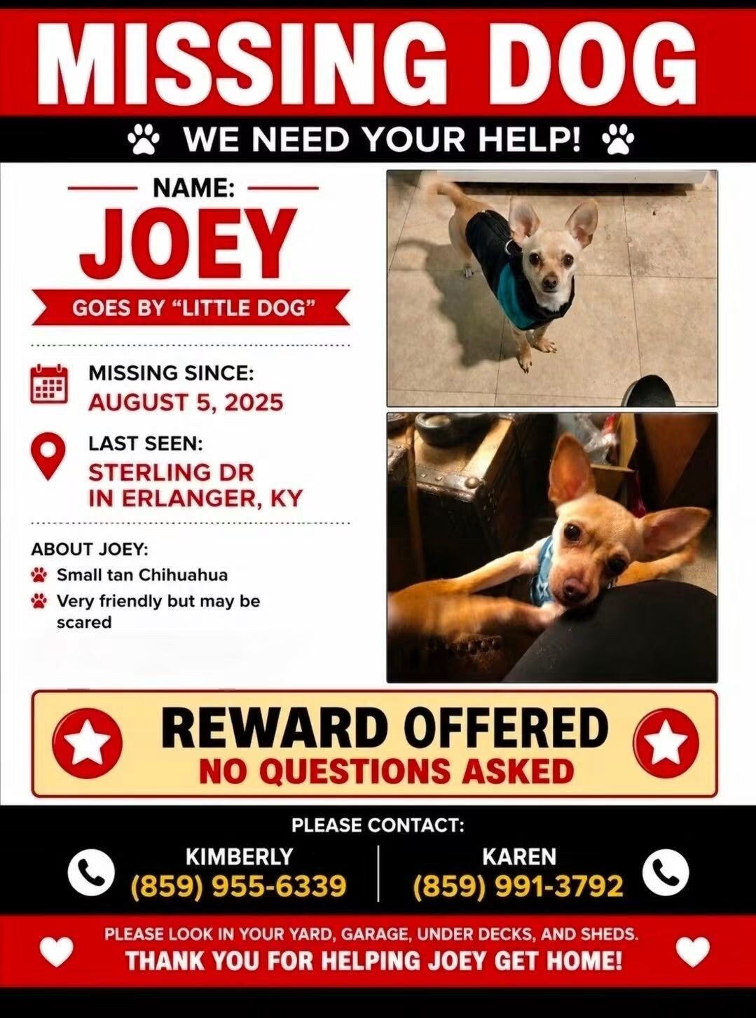 Have You Seen Joey? Joey - Dog