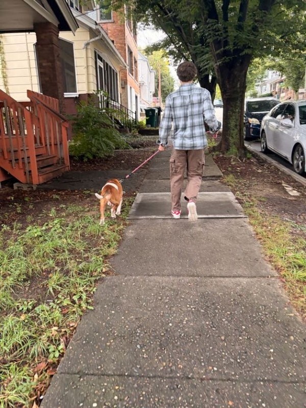 View Avis the Dog Photo #7