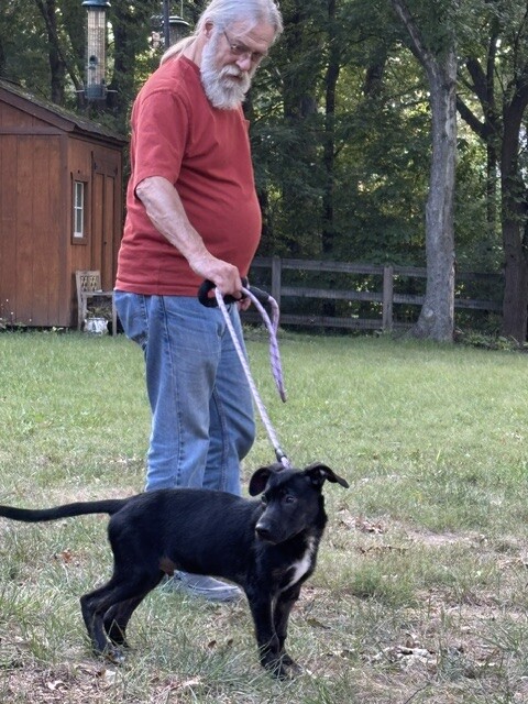View Huckleberry the Dog Photo #2