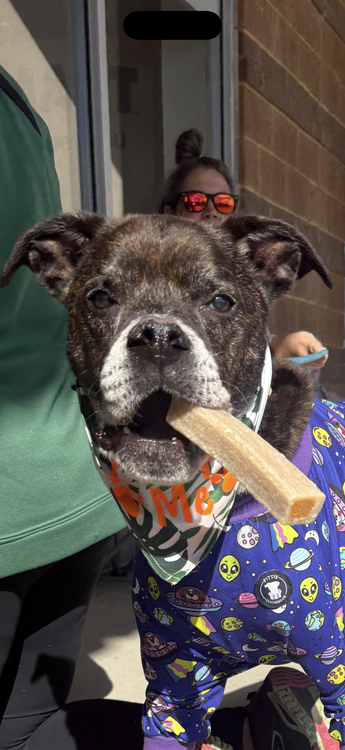 View Fire Marshall Bill the Dog Photo #2