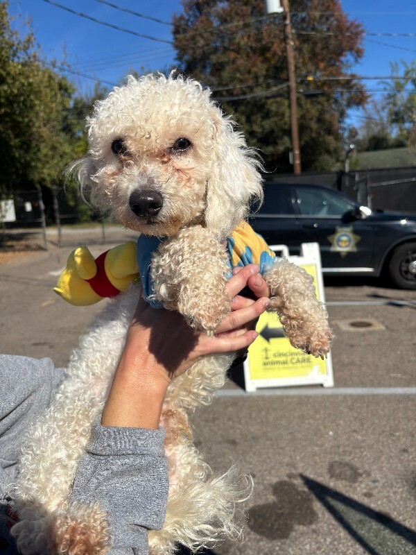 View Winney the Dog Photo #2