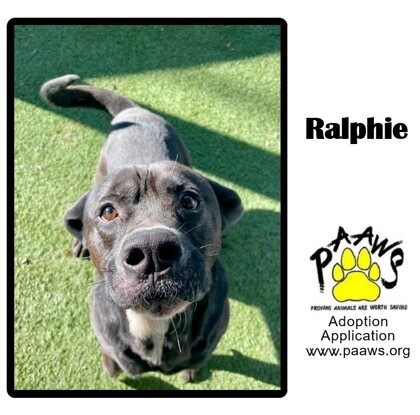 Ralphie