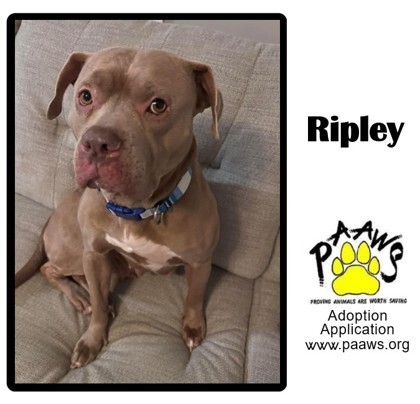 Ripley