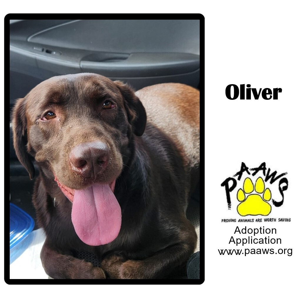 Oliver