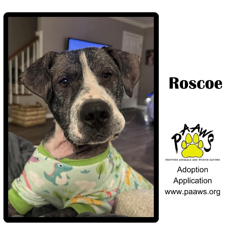 Roscoe