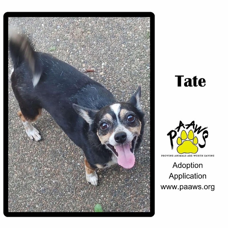 Tate
