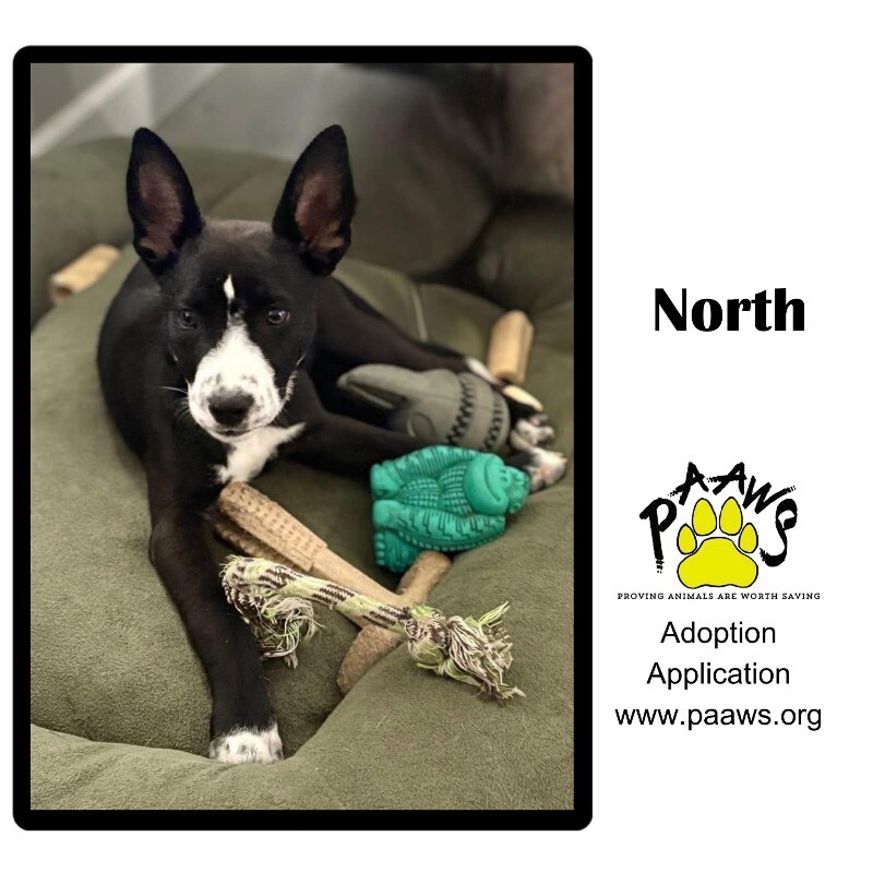 North