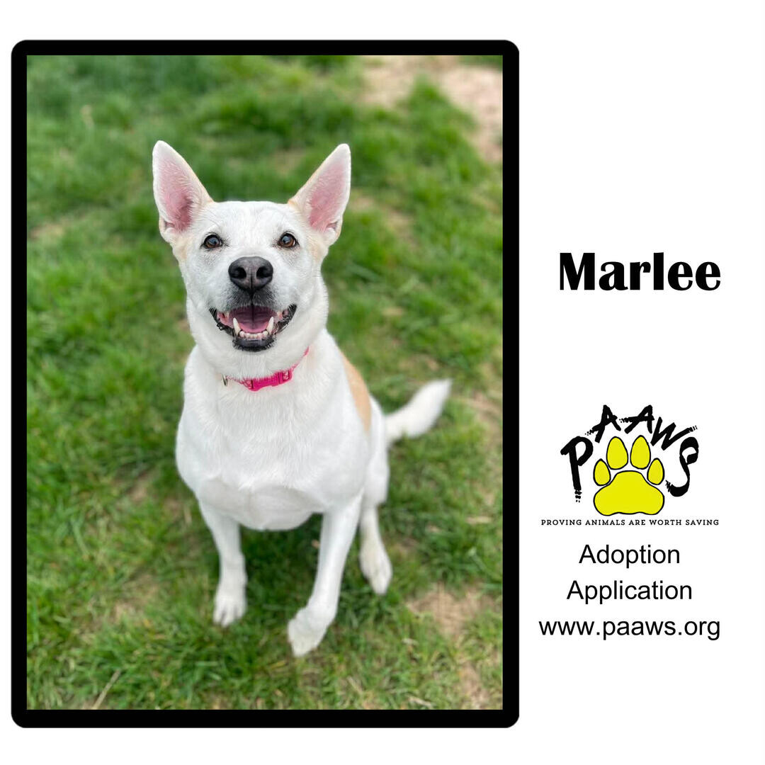 Marlee