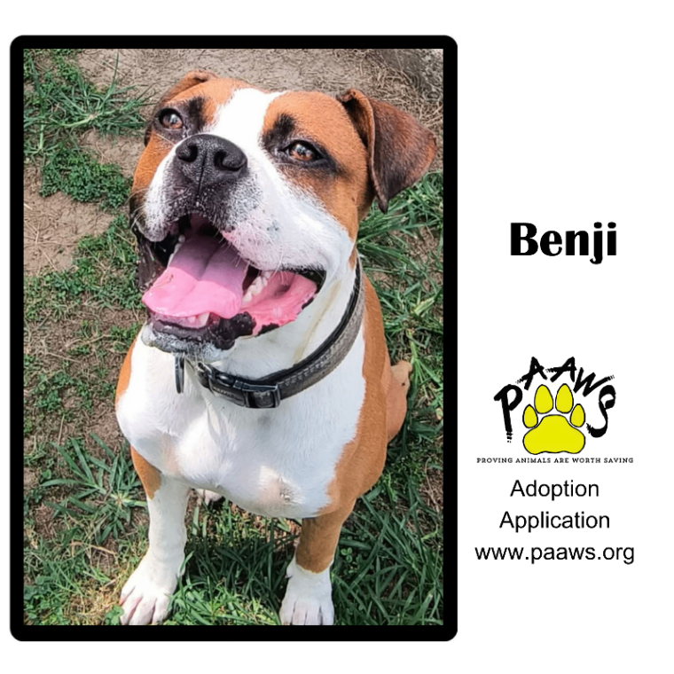 Benji