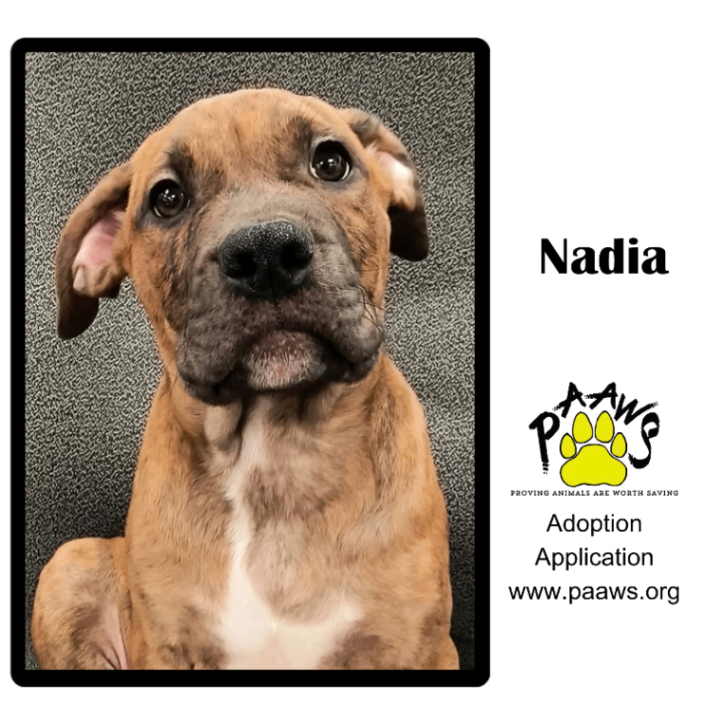 Nadia