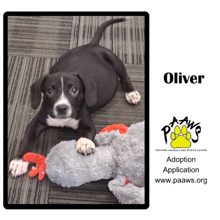 Oliver