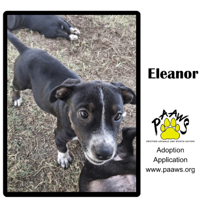 Eleanor
