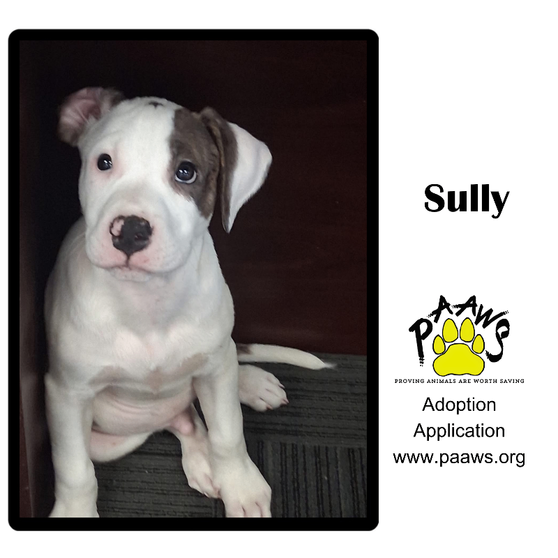 Sully