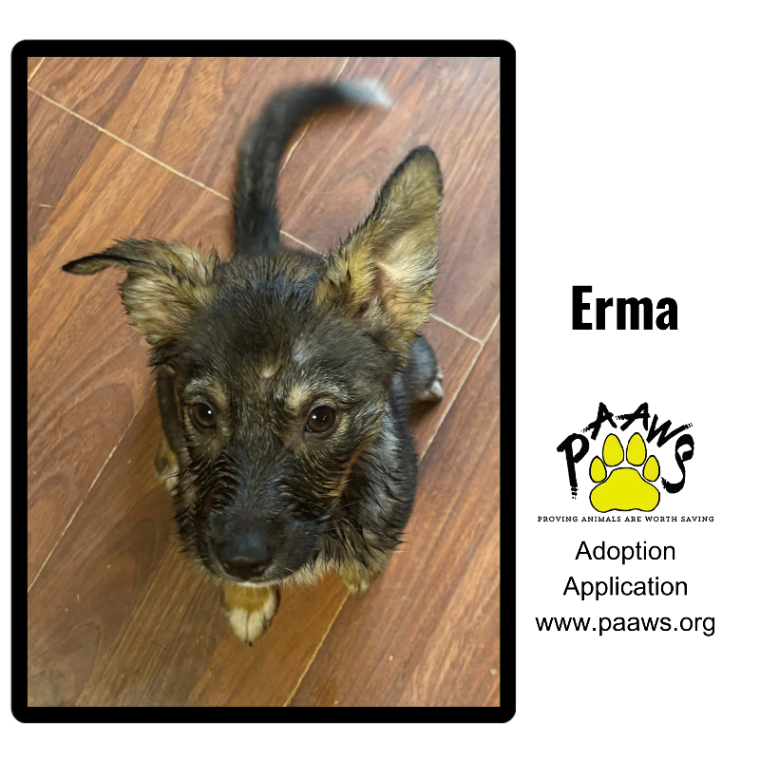 Erma