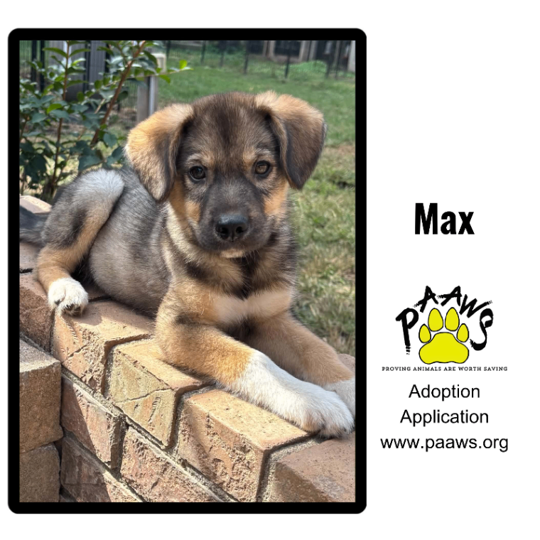 Max