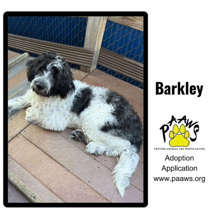 Barkley