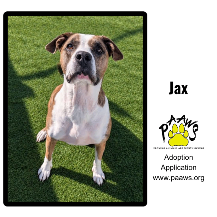Jax
