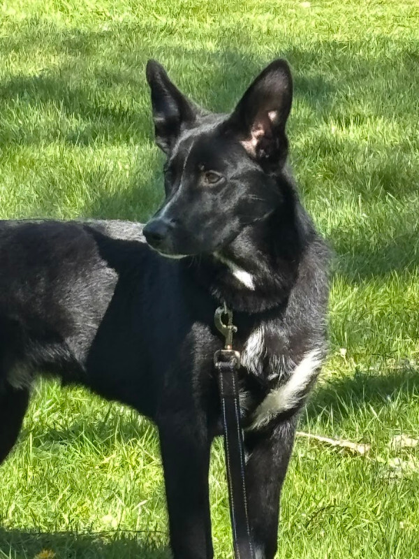 Archer